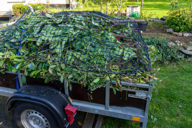 Best Shed Removal  in Cedar Hill, TX